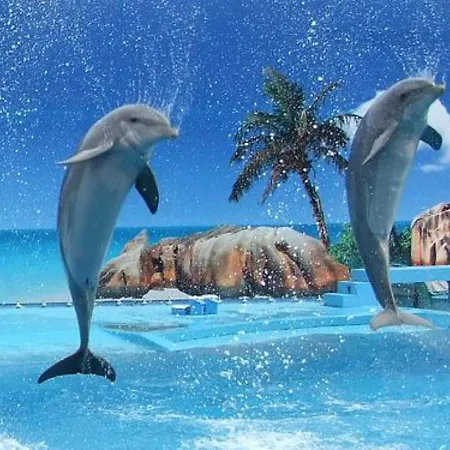 Apartment Beautiful 2-bed In Olhos De Agua *