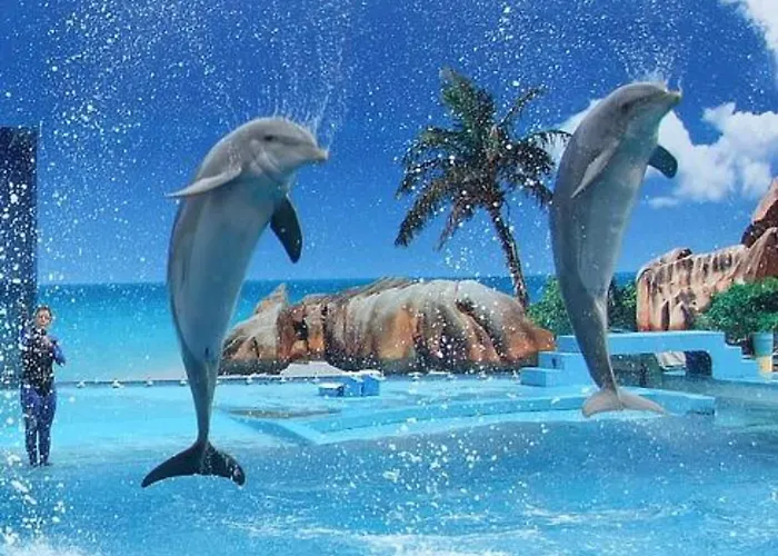 Appartement Beautiful 2-bed In Olhos De Agua *